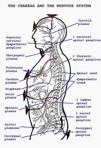 Acupuncture General Information